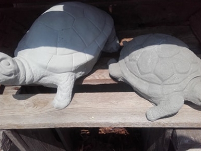 betonnen schildpadden